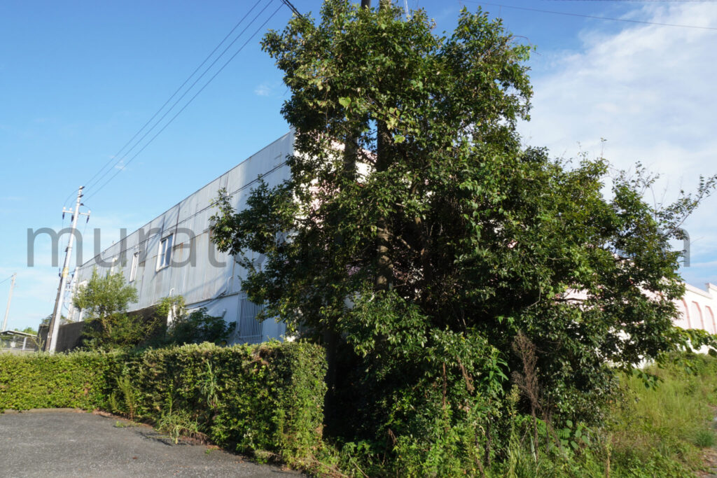 【高知県高知市】「ホテルピンクの子豚」閉業後の現地レポ-2025年9月訪問