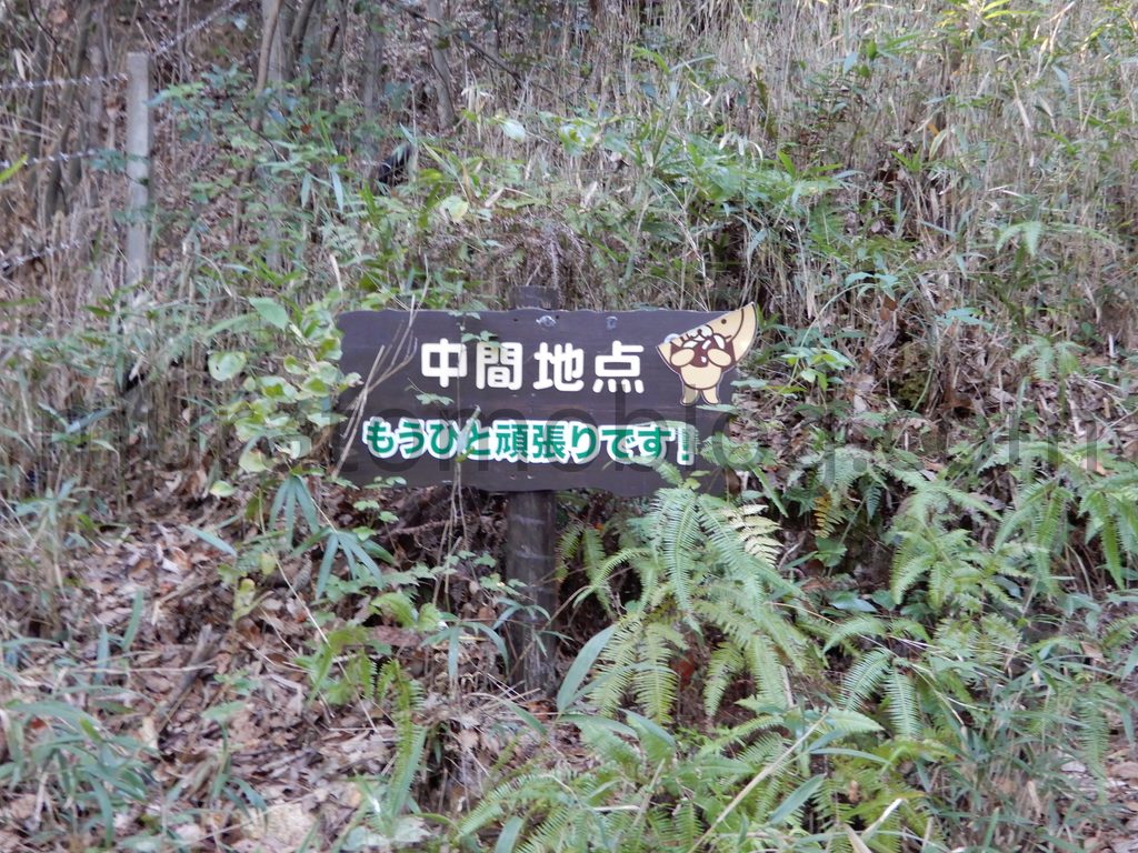 「京山遊歩道」と「岡山スカイガーデン」ロープウェイ山頂駅－2020年10月訪問