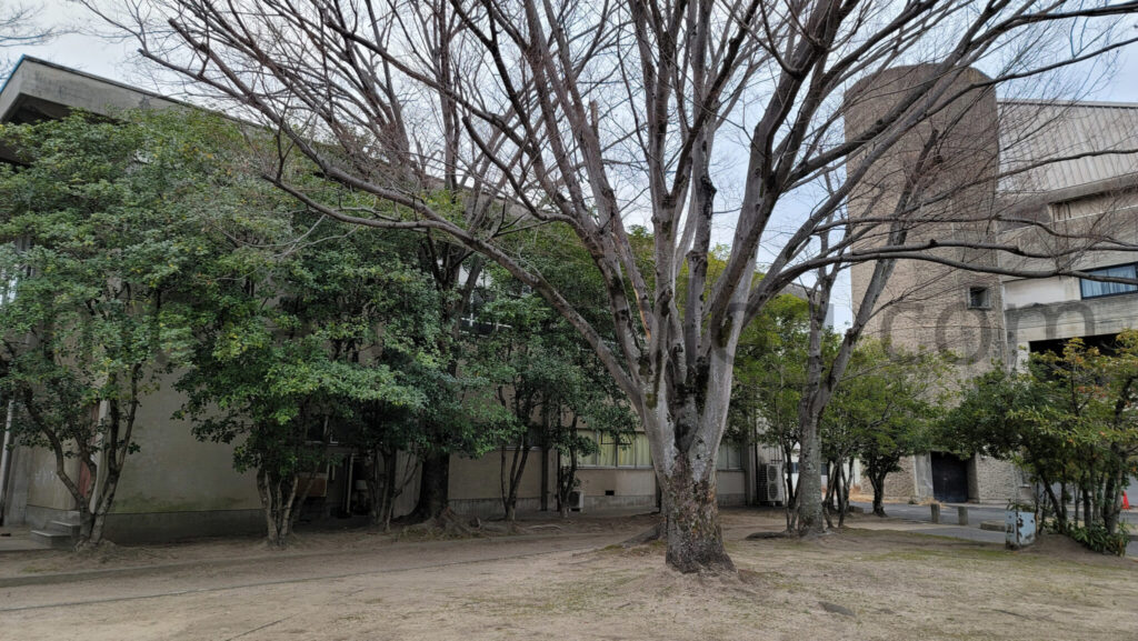 【広島県福山市】利用終了の旧福山市体育館を現地レポ-2022年2月訪問
