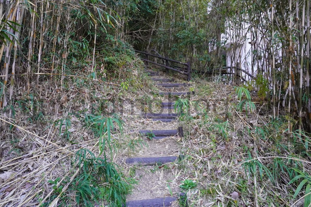 【岡山県岡山市】「京山遊歩道（京山登山道）」の現地レポ－2023年3月訪問