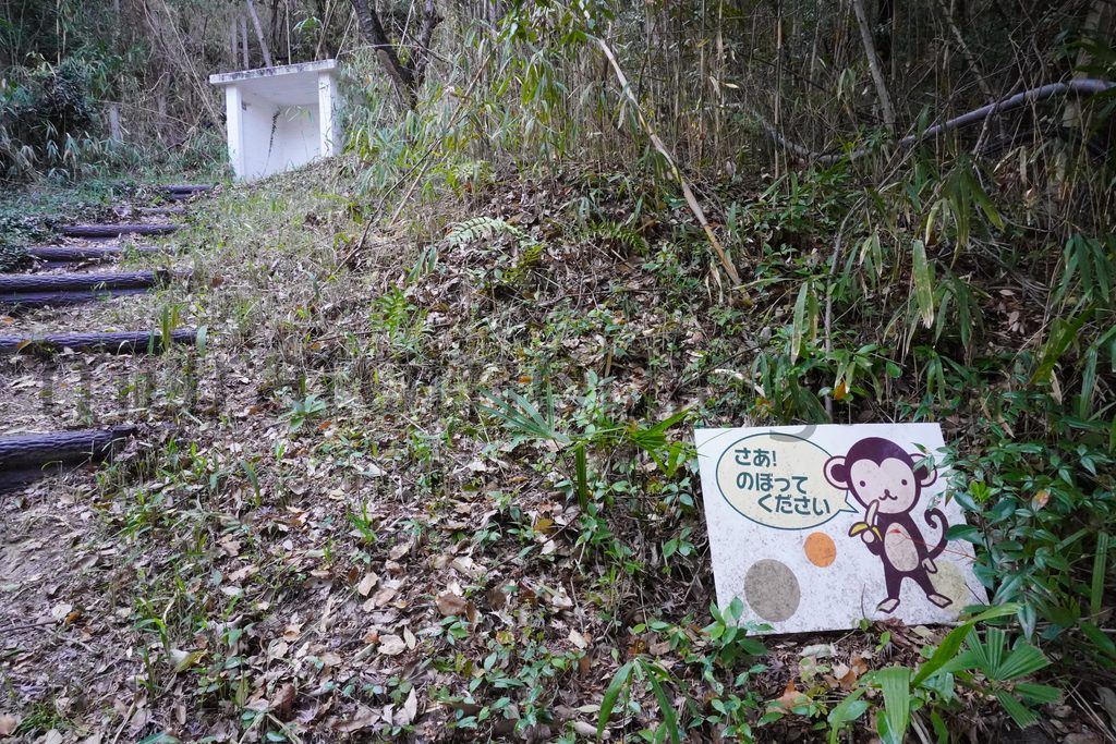 【岡山県岡山市】「京山遊歩道（京山登山道）」の現地レポ－2023年3月訪問
