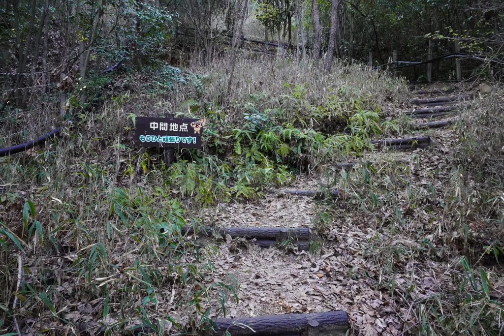 【岡山県岡山市】「京山遊歩道（京山登山道）」の現地レポ－2023年3月訪問