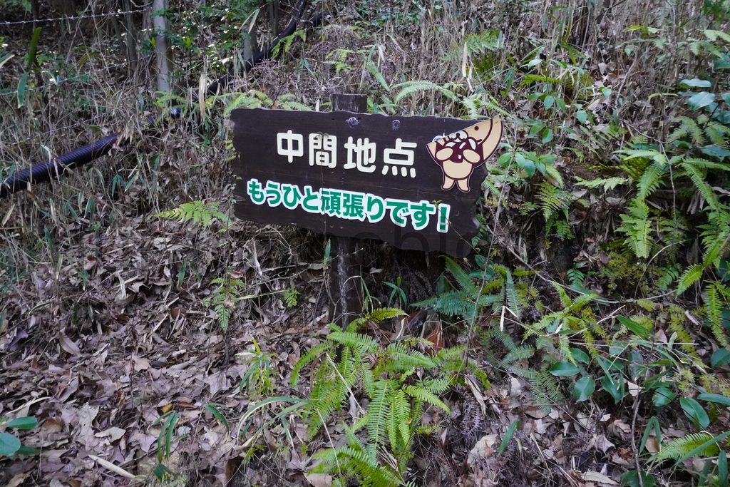 【岡山県岡山市】「京山遊歩道（京山登山道）」の現地レポ－2023年3月訪問