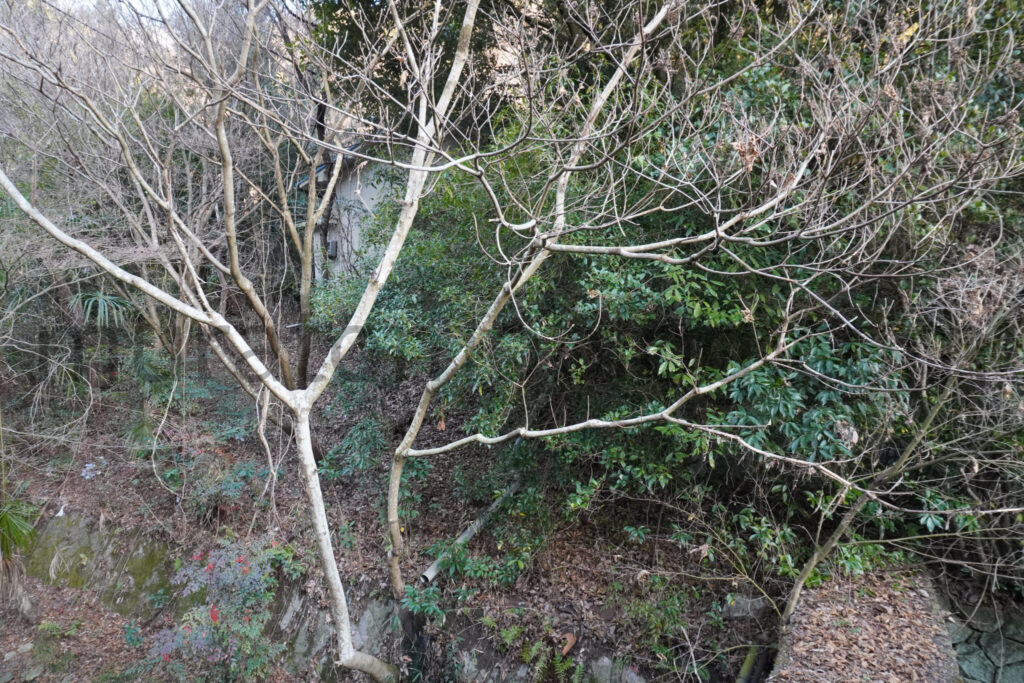 【広島県福山市】廃墟化した温泉街－本郷温泉を現地レポ－2024年1月訪問