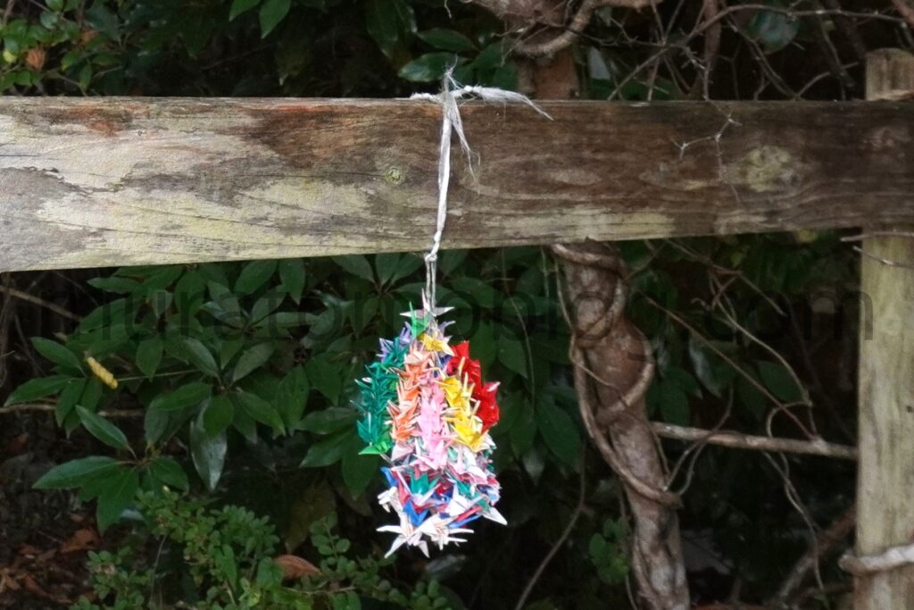 「スカイレスト ニューむろと」歴史・施設内容・現地レポ-2024年8月訪問