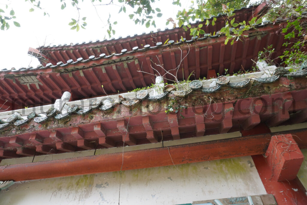 【高知県土佐清水市】「土佐足摺サンゴ博物館（竜宮城）」廃墟の現地レポ－2025年3月訪問