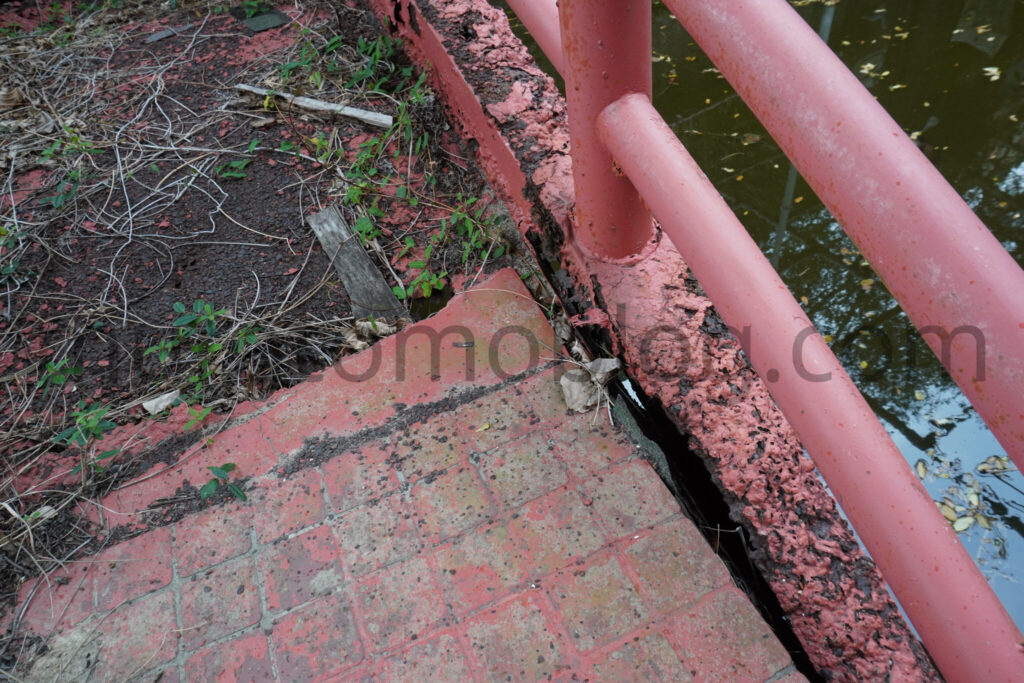 【高知県土佐清水市】「土佐足摺サンゴ博物館（竜宮城）」廃墟の現地レポ－2025年3月訪問