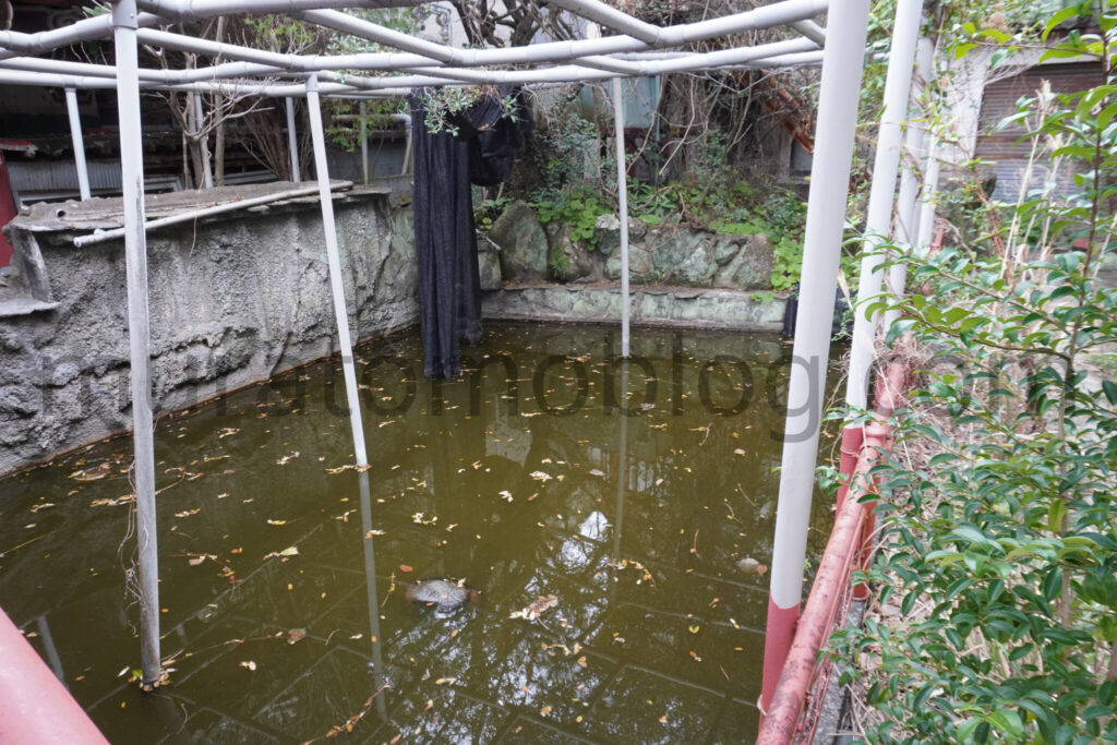 【高知県土佐清水市】「土佐足摺サンゴ博物館（竜宮城）」廃墟の現地レポ－2025年3月訪問