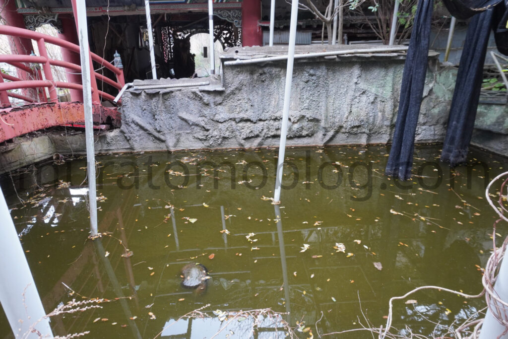 【高知県土佐清水市】「土佐足摺サンゴ博物館（竜宮城）」廃墟の現地レポ－2025年3月訪問