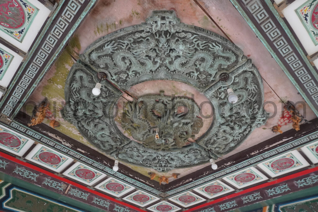 【高知県土佐清水市】「土佐足摺サンゴ博物館（竜宮城）」廃墟の現地レポ－2025年3月訪問