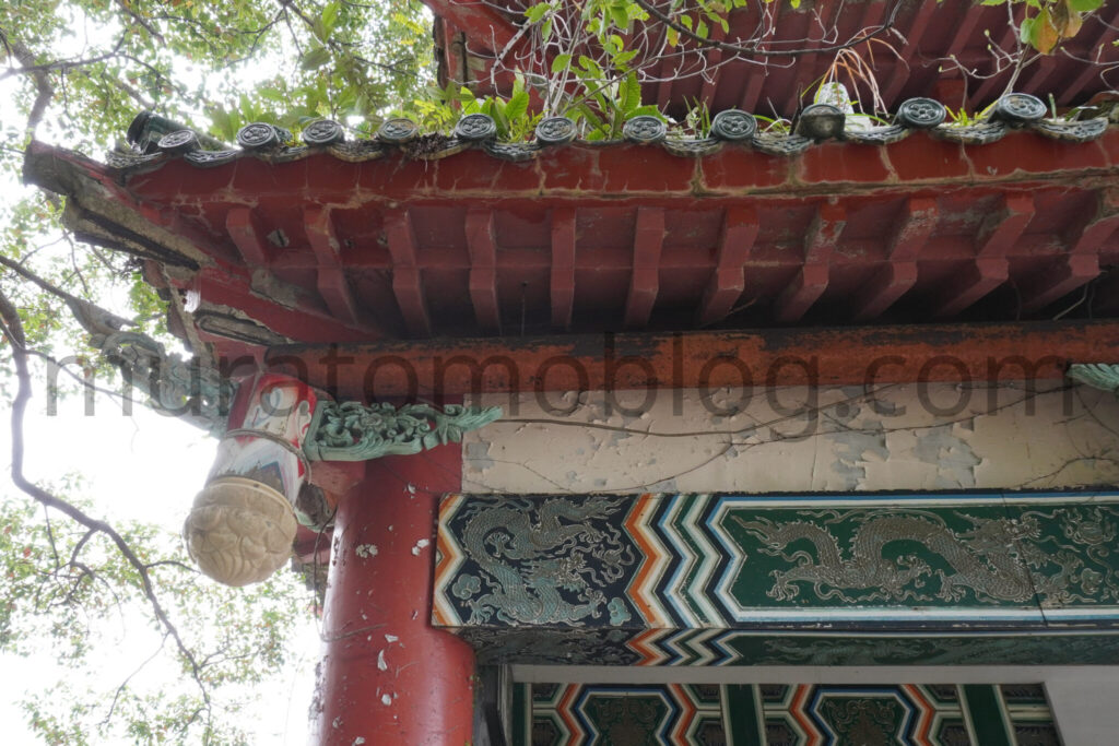 【高知県土佐清水市】「土佐足摺サンゴ博物館（竜宮城）」廃墟の現地レポ－2025年3月訪問