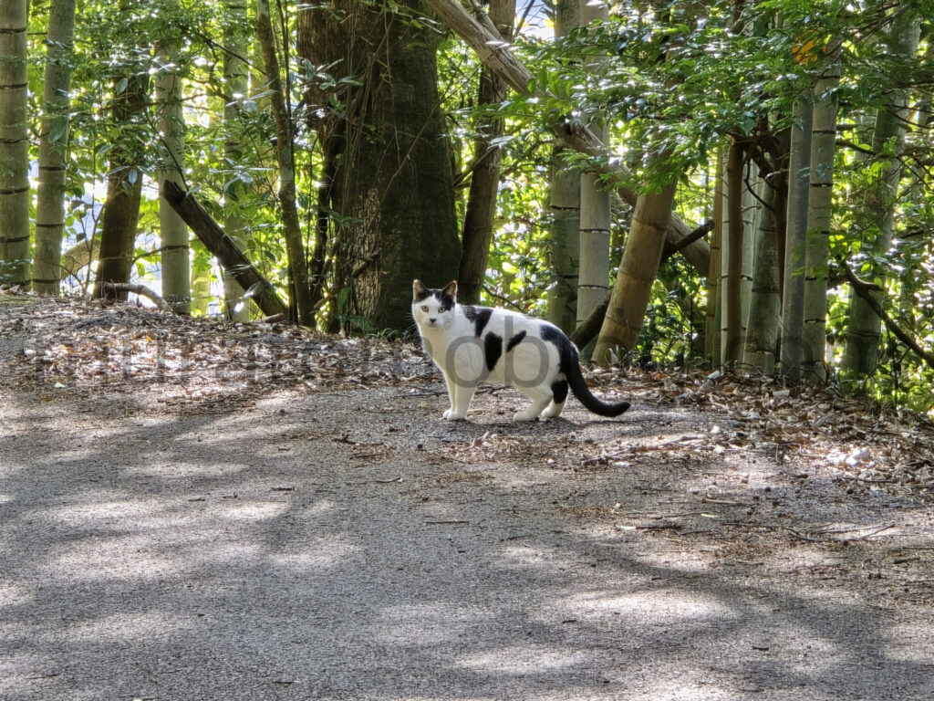 【高知県香美市】2026年休業中「ニューわかみや温泉」－2026年2月訪問