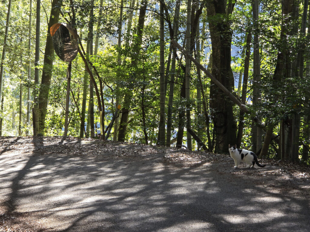 【高知県香美市】2026年休業中「ニューわかみや温泉」－2026年2月訪問