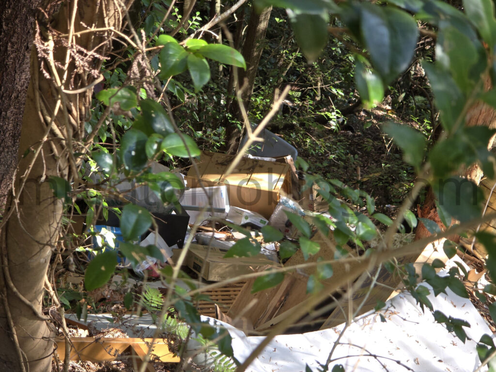 【高知県香美市】2026年休業中「ニューわかみや温泉」－2026年2月訪問