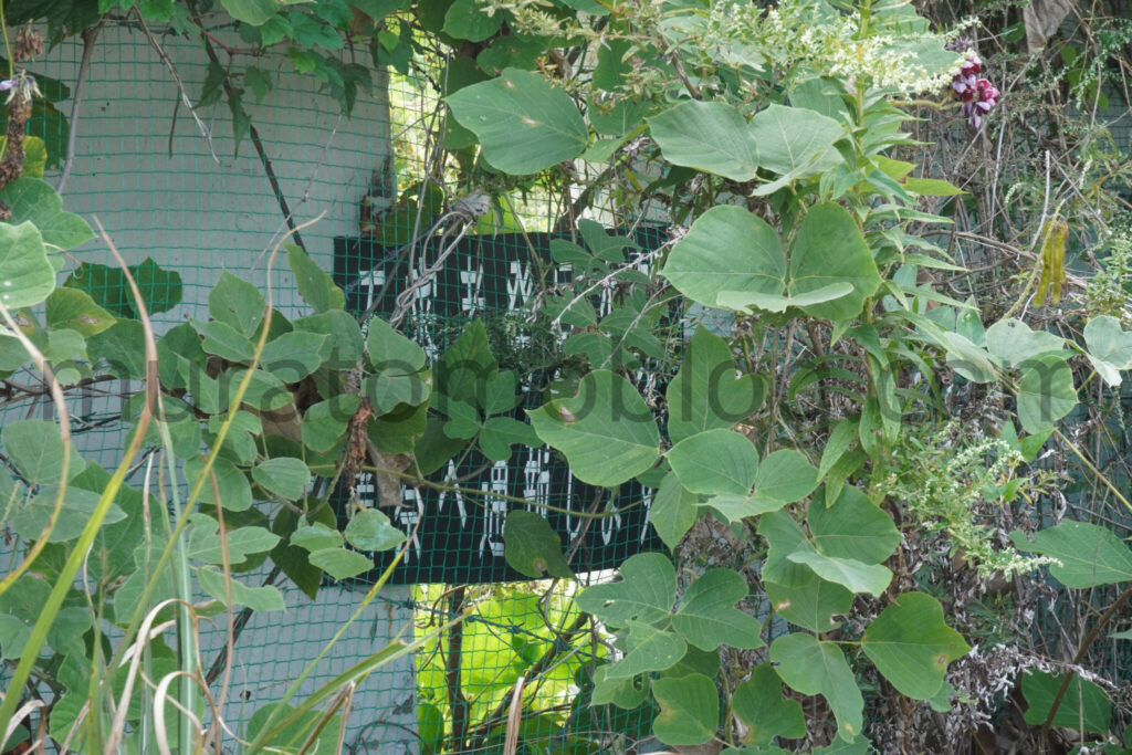 【岡山県倉敷市】「ホテル ラ・レインボー」現地レポ－2025年9月訪問