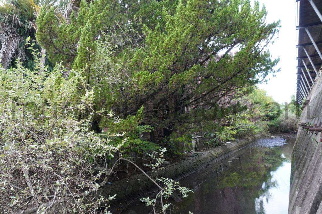 【高知県高知市】「ホテル皇邸」現地レポ－2025年9月