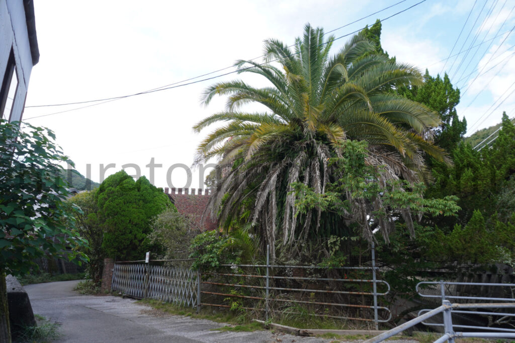 【高知県高知市】「ホテル皇邸」現地レポ－2025年9月