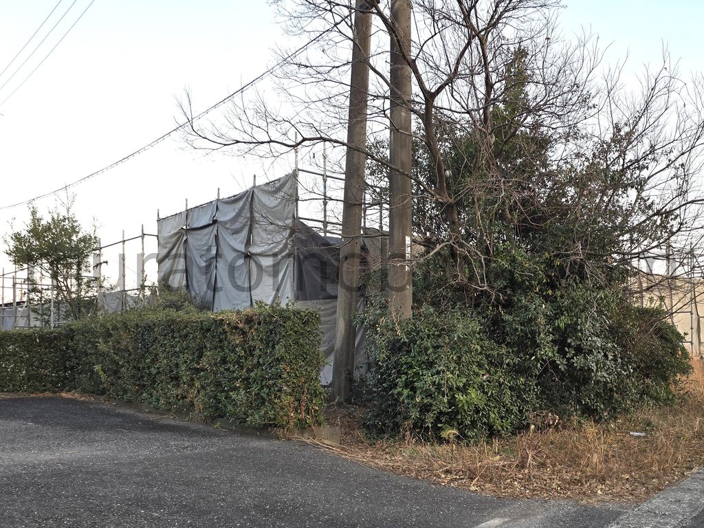 【高知県高知市】「ホテルピンクの子豚」解体中の様子－2026年1月・2月訪問